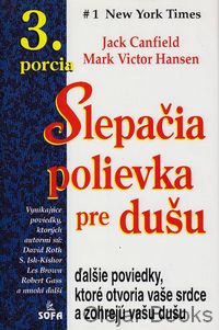 Slepačia polievka pre dušu 3. porcia