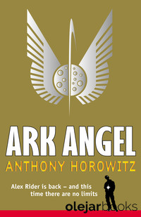 Ark Angel