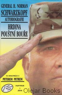 Hrdina poušní bouře