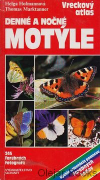 Denné a nočné motýle