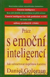 Práce s emoční inteligencí