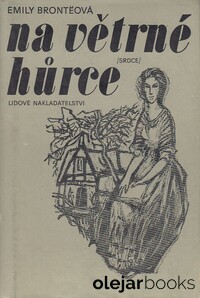 Na větrné hůrce