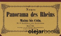 Neues Panorama des Rheins