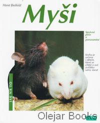 Myši