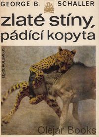 Zlaté stíny, pádící kopyta