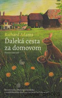 Ďaleká cesta za domovom