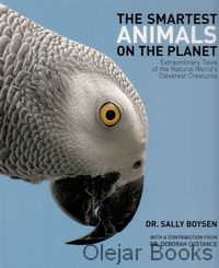 The Smartest Animals on the Planet