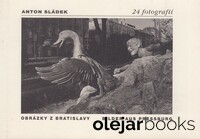 Obrázky z Bratislavy