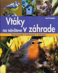 Vtáky na návšteve v záhrade