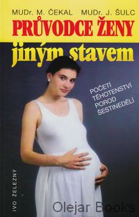 Průvodce ženy jiným stavem