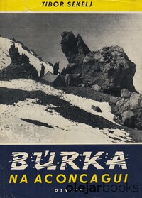 Búrka na Aconcagui