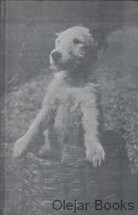 Dášeňka
