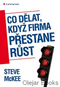 Co dělat, když firma přestane růst