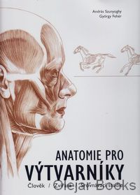 Anatomie pro výtvarníky