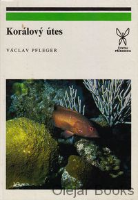 Korálový útes
