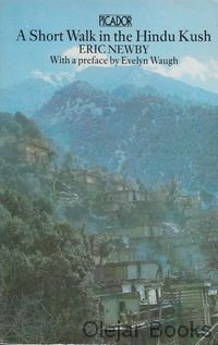 A Short Walk in the Hindu Kush