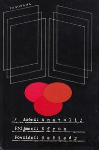 Povolání: režisér