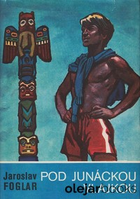 Pod junáckou vlajkou