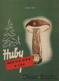 Huby našich hôr a lúk