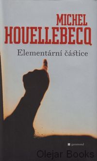 Elementární částice