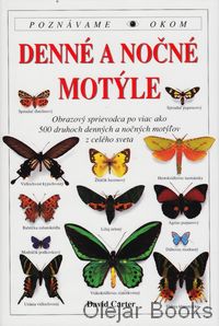 Denné a nočné motýle