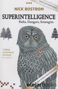 Superintelligence 