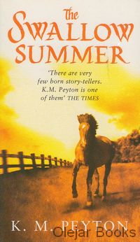 The Swallow Summer
