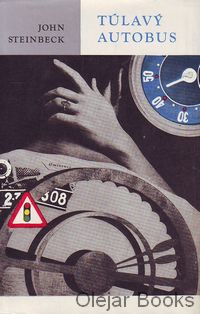 Túlavý autobus