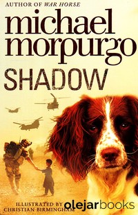 Shadow 