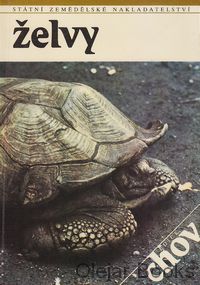 Želvy