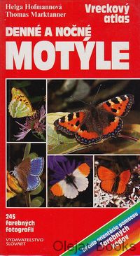 Denné a nočné motýle