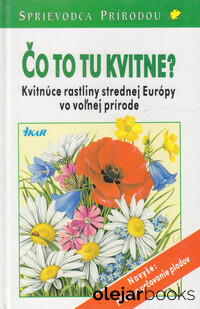 Čo to tu kvitne?