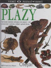 Plazy