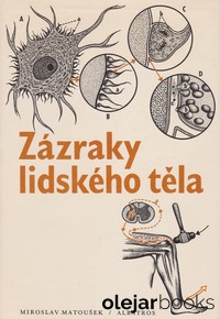 Zázraky lidského těla
