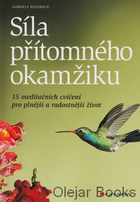 Síla přítomného okamžiku