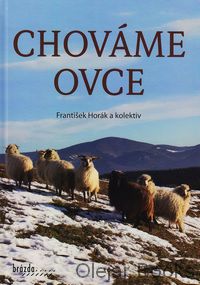 Chováme ovce