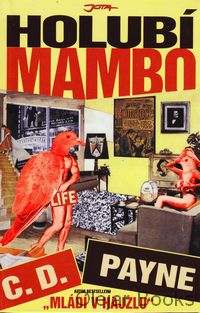 Holubí mambo