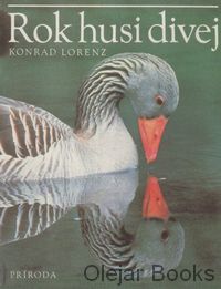 Rok husi divej