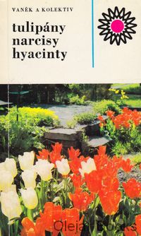 Tulipány, narcisy, hyacinty