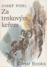 Za trnkovým keřem