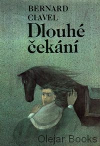 Dlouhé čekání
