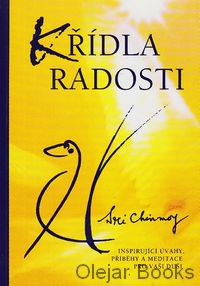 Křídla radosti