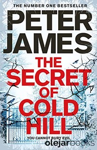 The Secret of Cold Hill