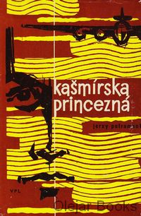 Kašmírska princezna