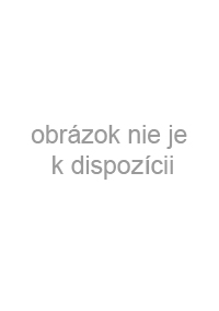 Kronika Zbraslavská