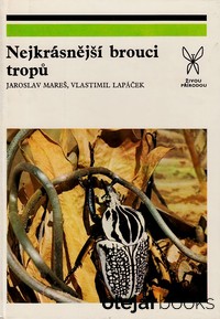 Nejkrásnejší brouci tropů