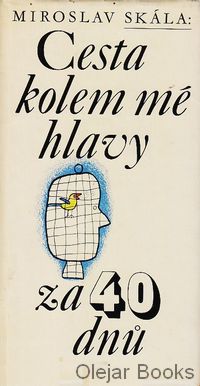 Cesta kolem mé hlavy za 40 dnů