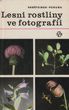 Lesní rostliny ve fotografii