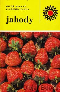 Jahody