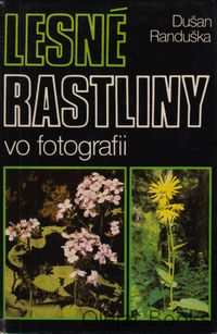 Lesné rastliny vo fotografii